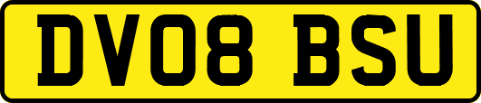 DV08BSU