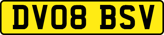 DV08BSV