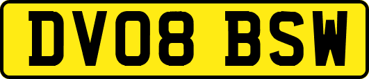 DV08BSW