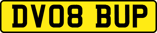 DV08BUP