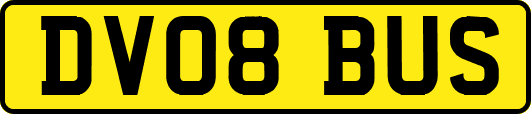 DV08BUS