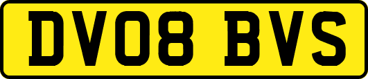 DV08BVS