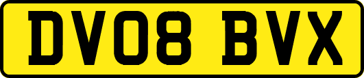 DV08BVX