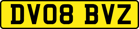 DV08BVZ