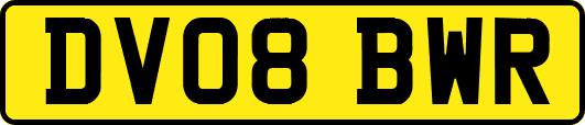 DV08BWR
