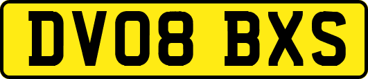 DV08BXS