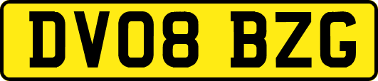 DV08BZG