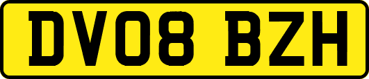 DV08BZH
