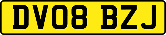DV08BZJ