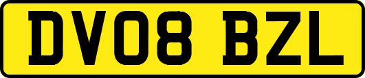 DV08BZL