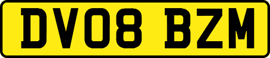 DV08BZM