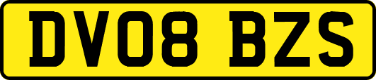 DV08BZS