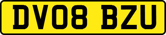 DV08BZU