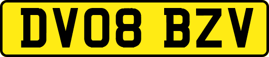 DV08BZV