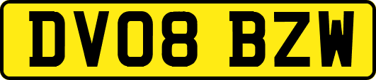 DV08BZW