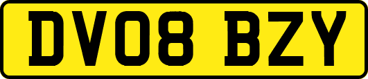 DV08BZY