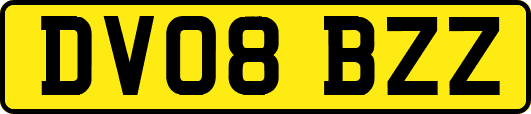 DV08BZZ