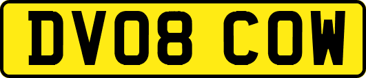 DV08COW