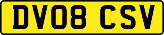DV08CSV