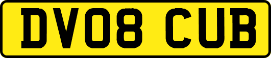 DV08CUB