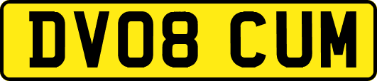 DV08CUM