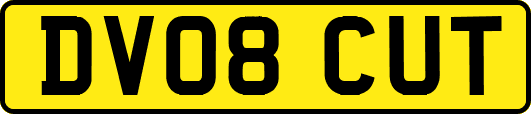 DV08CUT