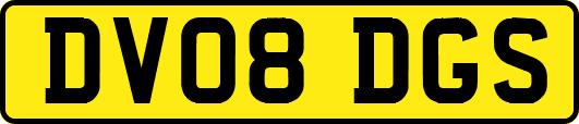DV08DGS