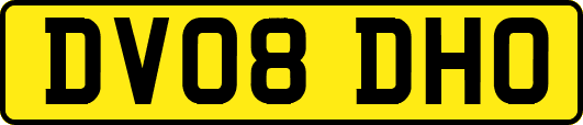 DV08DHO