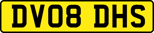 DV08DHS