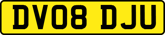 DV08DJU