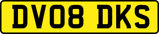 DV08DKS
