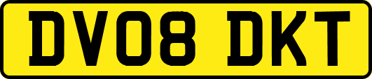 DV08DKT