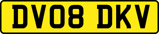 DV08DKV