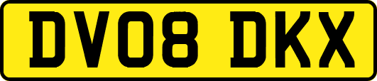 DV08DKX