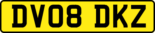 DV08DKZ