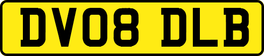 DV08DLB