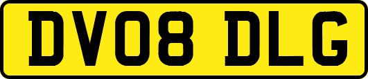 DV08DLG