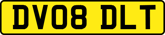 DV08DLT