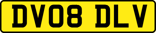 DV08DLV