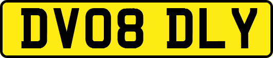 DV08DLY