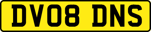 DV08DNS