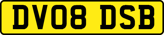 DV08DSB