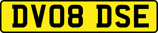 DV08DSE