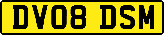 DV08DSM