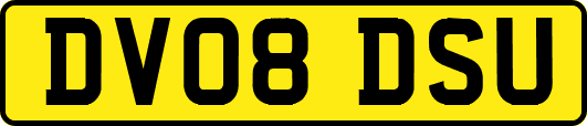 DV08DSU