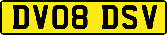 DV08DSV