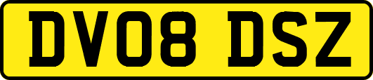 DV08DSZ