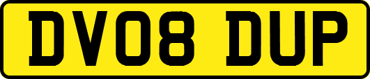 DV08DUP