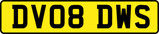 DV08DWS