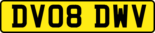 DV08DWV